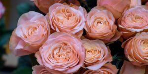 Home bouquetorder